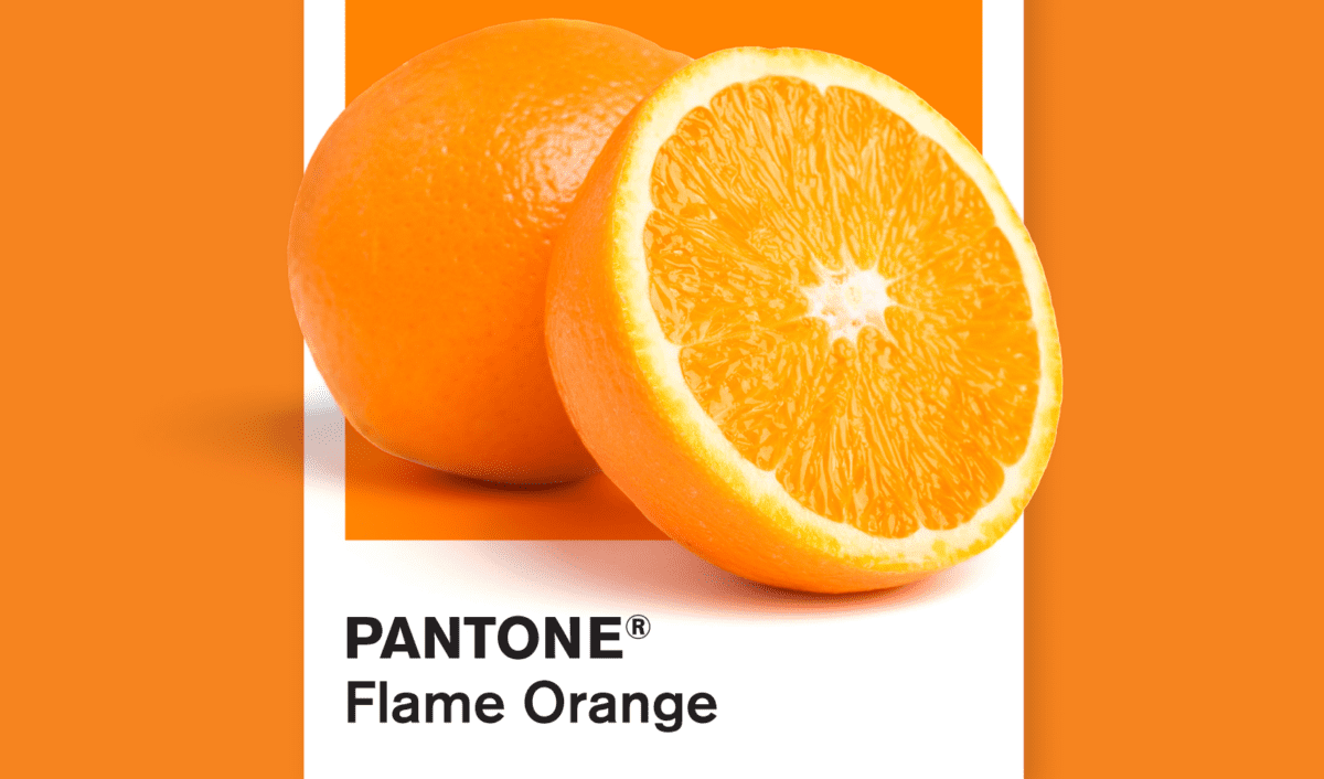 Print Solutions | Tradeprint Hub | Trade Printers Ireland Trade Print Hub - Ireland's favourite trade printers!